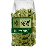 Sidr Yaprağı (Zizyphus Spina),Arabistan Kirazı Yaprağı, 100gr, Derya Eren