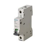 SIEMENS 10A; 1 FAZLI; 70 mm; ANAHTARLI OTOMATİK SİGORTA; 6kA; B TİPİ; ÇABUK KARAKTERLİ