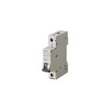 Siemens - 1P 10A 6Ka C Serisi Monofaze Anahtarlı Otomatik Sigorta 5Sl6110-7Ya