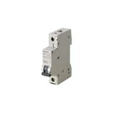 Siemens - 1P 2A 6Ka C Serisi Monofaze Anahtarlı Otomatik Sigorta 5Sl6102-7Ya