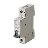 Siemens 1X25 A. B Tipi Mono Classic Sigorta 6 kA 5SL6125-6YA