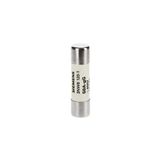 Siemens 3NW6117-1 40A 14x51 mm Silindirik Sigortalar Kartuş Sigorta