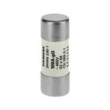 Siemens 3NW6230-1 22X58MM 100A Silindirik Sigorta