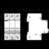 Siemens - 3P 10A 6Ka C Serisi Trifaze Anahtarlı Otomatik Sigorta 5Sl6310-7Ya