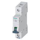 Siemens 40A; 1 FAZLI; 70 mm; ANAHTARLI OTOMATİK SİGORTA; 6kA; C TİPİ; YAVAŞ KARAKTERLİ