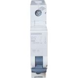 Siemens 40A B Tipi 1Faz Nötr 6kA Otomatik Sigorta