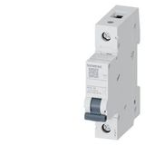 SIEMENS 5SL3106-6YA Otomatik Sigorta Klasik 6A B Tipi