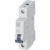 Siemens 5SL3132-6YA B Tipi 1 Faz 32A 4.5ka Otomatik Sigorta