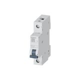 Siemens 5SL3140-6YA Otomatik Sigorta B Tipi 1 Faz 40 Amper 4,5kA