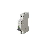 Siemens 5SL4103-7 1 Fazlı 3 Amper C Tipi Yavaş Karakterli 10kA Anahtarlı Otomatik Sigorta