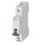Siemens 5Sl4104-6 | 1 Faz 4A B Tipi 10Ka Monofaze Otomatik Sigorta