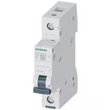 Siemens 5Sl6106-6Ya | 1 Faz 6A B Tipi 6Ka Monofaze Otomatik Sigorta