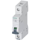 Siemens 5Sl6106-7Ya | 1 Faz 6A C Tipi 6Ka Monofaze Otomatik Sigorta