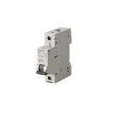 Siemens 5SL6106-7YA 6kA 1x6A NC Otomatik Sigorta