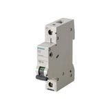 Siemens 5SL6110-6YA 1 Fazlı 10 Amper Sigorta