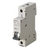 Siemens 5Sl6116-7Ya C1X16 W-Otomat 1 Fazlı 25 Amper B Tipi Elektrik Sigorta