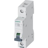 Siemens 5SL6125-6 - 25A 1 Kutup 6ka B Tipi Otomatik Sigorta