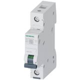 Siemens 5Sl6125-6Ya | 1 Faz 25A B Tipi 6Ka Monofaze Otomatik Sigorta