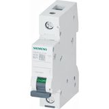 Siemens 5SL6125-6YA Otomatik Sigorta Klasik 25A B Tipi - Renk - Beyaz