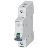 Siemens 5Sl6125-7Ya | 1 Faz 25A C Tipi 6Ka Monofaze Otomatik Sigorta