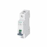 Siemens 5Sl6140-6Ya Otomatik Sigorta 40A B Tipi 1 Faz 6Ka