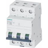 Siemens 5SL6306-7YA Otomatik Sigorta Klasik 6A C Tipi - Renk - Beyaz