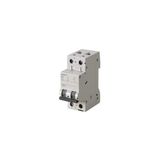 Siemens 5Sl6525-6Ya B Tipi 2 Kutuplu Otomatik Sigorta 25A