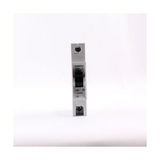 Siemens 5sq2 170-2YA32 C Tipi 1×32 A Anahtarlı Otomatik Sigorta