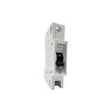 Siemens 5Sq2170-2Ya32 C32 32A 1P 3Ka Otomatik Sigorta (Mcb)