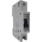 Siemens 5SQ2170-2YA40 C40 40A 1p 3ka Otomatik Sigorta (Mcb) - RENK - Gri