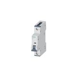Siemens 5SY4102-7 10KA 1 Kutuplu C Tipi 2 Amper Otomatik Sigorta