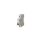 SIEMENS 6A; 1 FAZLI; 5SL Classic ANAHTARLI OTOMATİK SİGORTA; 6kA; B TİPİ; ÇABUK KARAKTERLİ