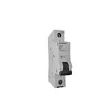 Siemens 6A B/6KA W Otomatik Sigorta