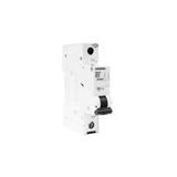 Siemens B Tipi 1X25A 6ka Otomatik Sigorta 5SL6125-6YA