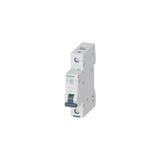 Siemens B1X10 Amper Monofaze Sigorta