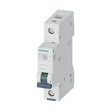 Siemens B1X10 Amper Monofaze Sigorta