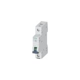 Siemens B1X20 Amper Monofaze Sigorta