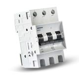 Siemens C 3P 6A 3KA Otomatik Sigorta