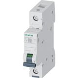 Siemens C Tipi Sigorta W Otomat 20A