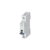 Siemens C Tipi Sigorta W Otomat 25A