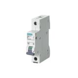 Siemens C Tipi Tek Fazlı Otomatik Sigorta 32 Amper