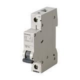Siemens C10 Sigorta Gri