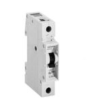 Siemens Sigorta Mono W Otomat B 10 A Sıemens