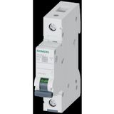Siemens Sigorta/otomat 2 Amper C Serisi
