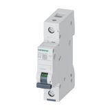Siemens Tek Fazlı 16a B Tipi Çabuk Karakterli 6ka Otomatik Sigorta 5sl6116-6ya