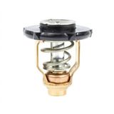 Sierra 18-3641 Yamaha 70HP - 115HP - 150HP 4-Zamanlı Yeni Nesil Dıştan Takma Motor Termostatı 50°C - 6FP-12411-00-00