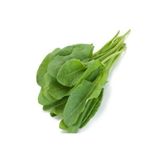 ŞİFAGIDA Kuzu Kulak Tohumu 5gr Ata Tohumu