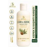 ŞİFAKÜR BİTKİSEL SAĞLIK ÜRÜNLERİ Katranlı Şampuan 400 ml Çam Ardıç Katranı Keratinli Kepek Karşıtı Tuzsuz Şampuan