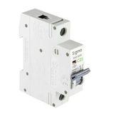 Sigma - 1P C 25A 6Ka Monofaze Anahtarlı Otomatik Sigorta 6Sm125c
