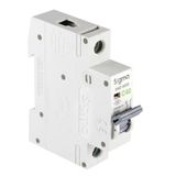 Sigma - 1P C 40 6Ka Monofaze Anahtarlı Otomatik Sigorta 6Sm140c